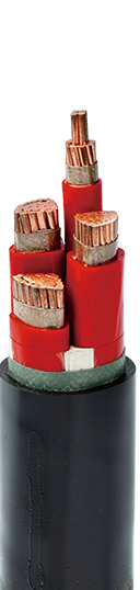 聚氯乙烯绝缘电力电缆